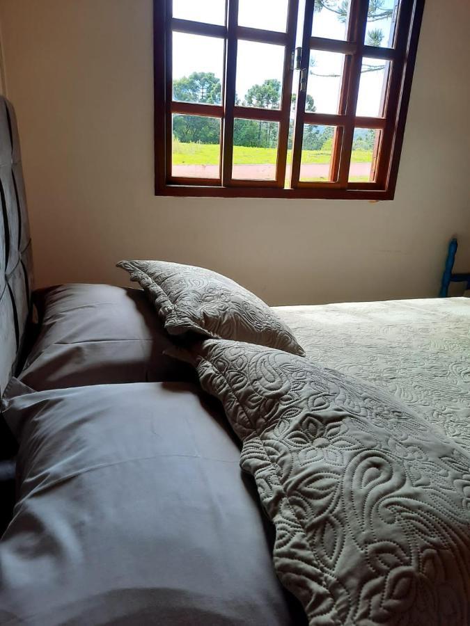 הוילה Rio Rufino Fazenda Tamandua Casa De Campo - Cabana Coragem מראה חיצוני תמונה